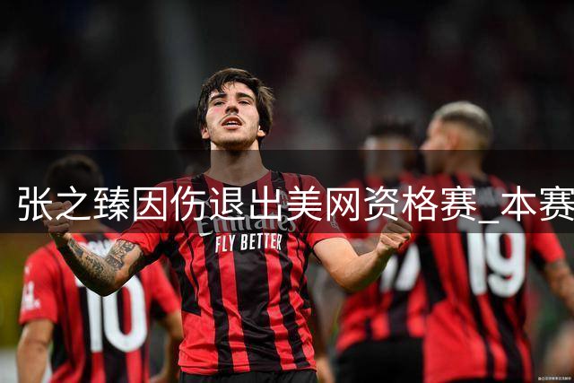 张之臻因伤退出美网资格赛 本赛季大满贯赛事全部告终